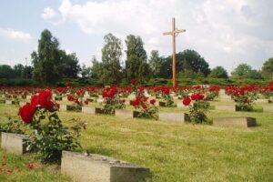 Bus Tour to Terezín from Prague - The bus ride: when audio matters more than scenery