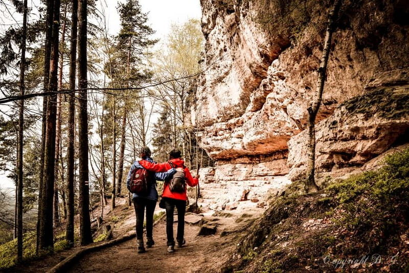 From Prague: Bohemian & Saxon Switzerland All-Inclusive Tour - Bastei Bridge and Neurathen Ruins: The Elbe Canyon View Circuit
