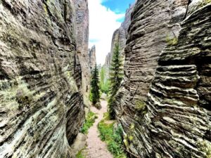 From Prague: Hike, Castle and Brewery in Bohemian Paradise - From Prague to the rock labyrinth: how the day starts and what you’ll notice