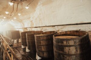 Pilsen: Pilsner Urquell Brewery Tour with Beer Tasting - Meeting at the Visitor Center and Getting Into the Right Rhythm