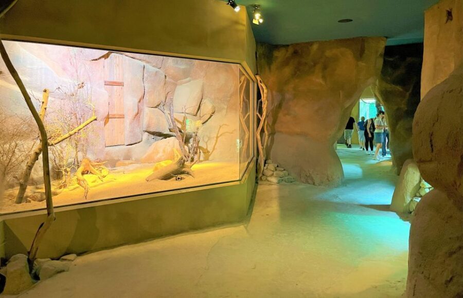 Prague: Prague Zoo Audio Guide with E-Ticket - Getting in at U Trojského zámku: your first audio stop