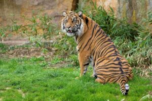 Prague Zoo: Skip-the-Line Entry Ticket - Why this zoo matters beyond the animals