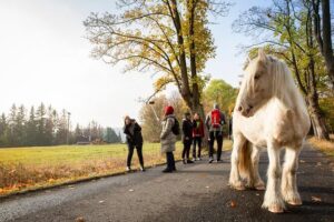 VIP Best Reviews: Bohemian & Saxon Switzerland from Prague - Pickup timing, minivan comfort, and the max-7 group size