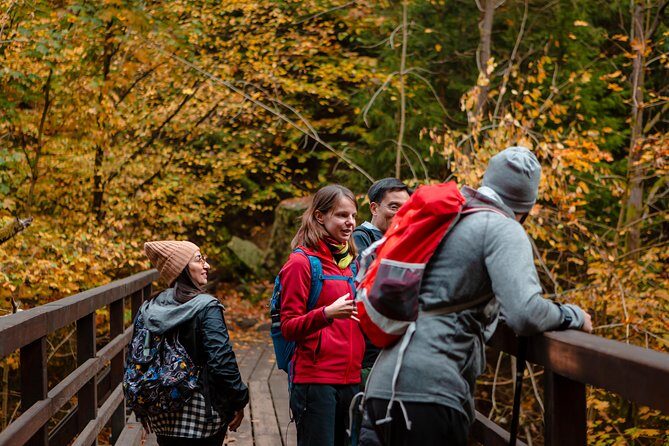 VIP Best Reviews: Bohemian & Saxon Switzerland from Prague - Pravčická Gate hike: Europe’s biggest sandstone arch