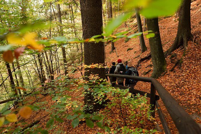 VIP Best Reviews: Bohemian & Saxon Switzerland from Prague - Saxon Switzerland National Park and Bastei Bridge: the main event