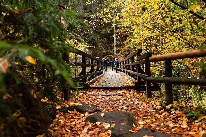 VIP Best Reviews: Bohemian & Saxon Switzerland from Prague - How private upgrades let you tailor the day